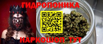 прущие грибы Будённовск