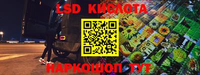 прущие грибы Будённовск