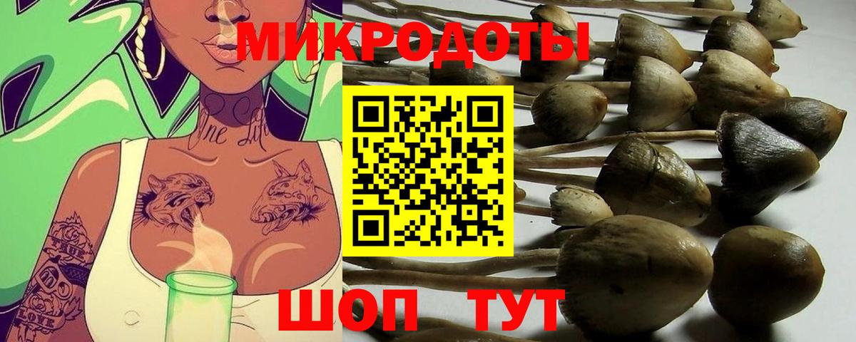 Галлюциногенные грибы ЛСД Кохма